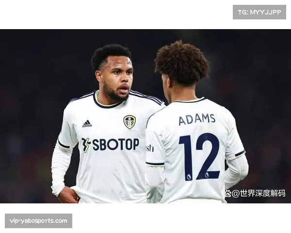 利兹联36分升至第15 领先降级区优势扩大至6分